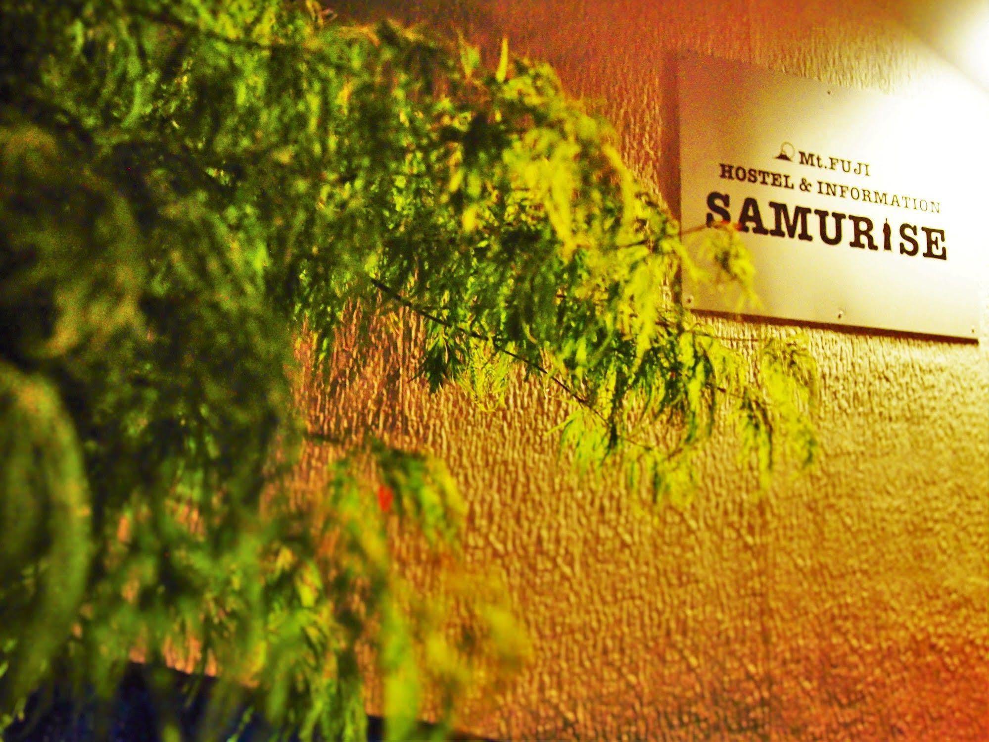 Hostel Samurise Mt Fuji Fujikawaguchiko Exteriör bild